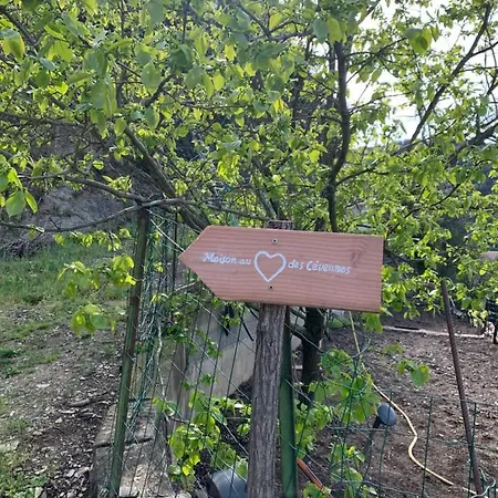 Дом отдыха Maison Au Coeur Des Cevennes Meridionales *