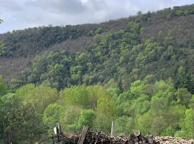 Maison Au Coeur Des Cevennes Meridionales Ferienhaus Saint-André-de-Majencoules